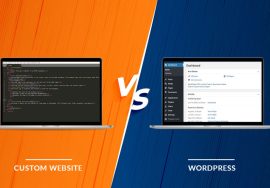 custom Web Development Vs WordPress 2 1024x591 1