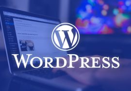 how to use wordpress